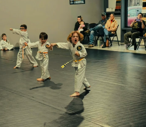 Main image of North Georgia Martial Arts
