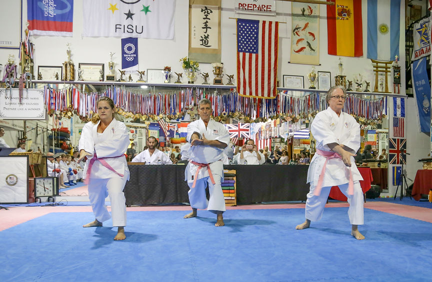 Main image of North Shore Dojo