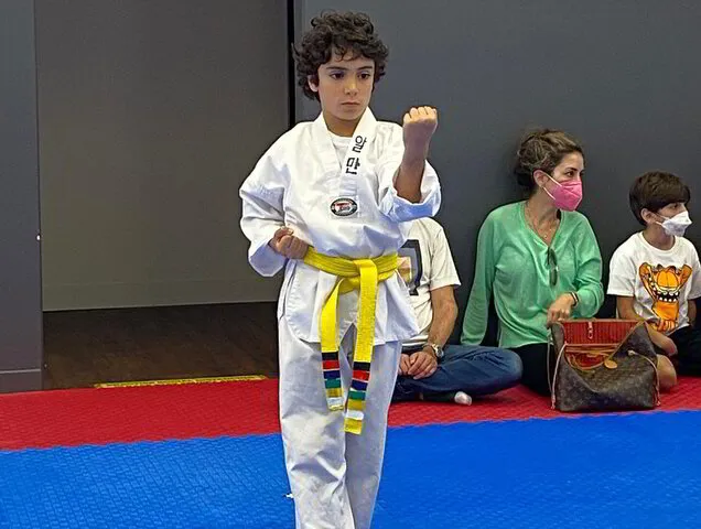 Main image of North Shore Taekwondo