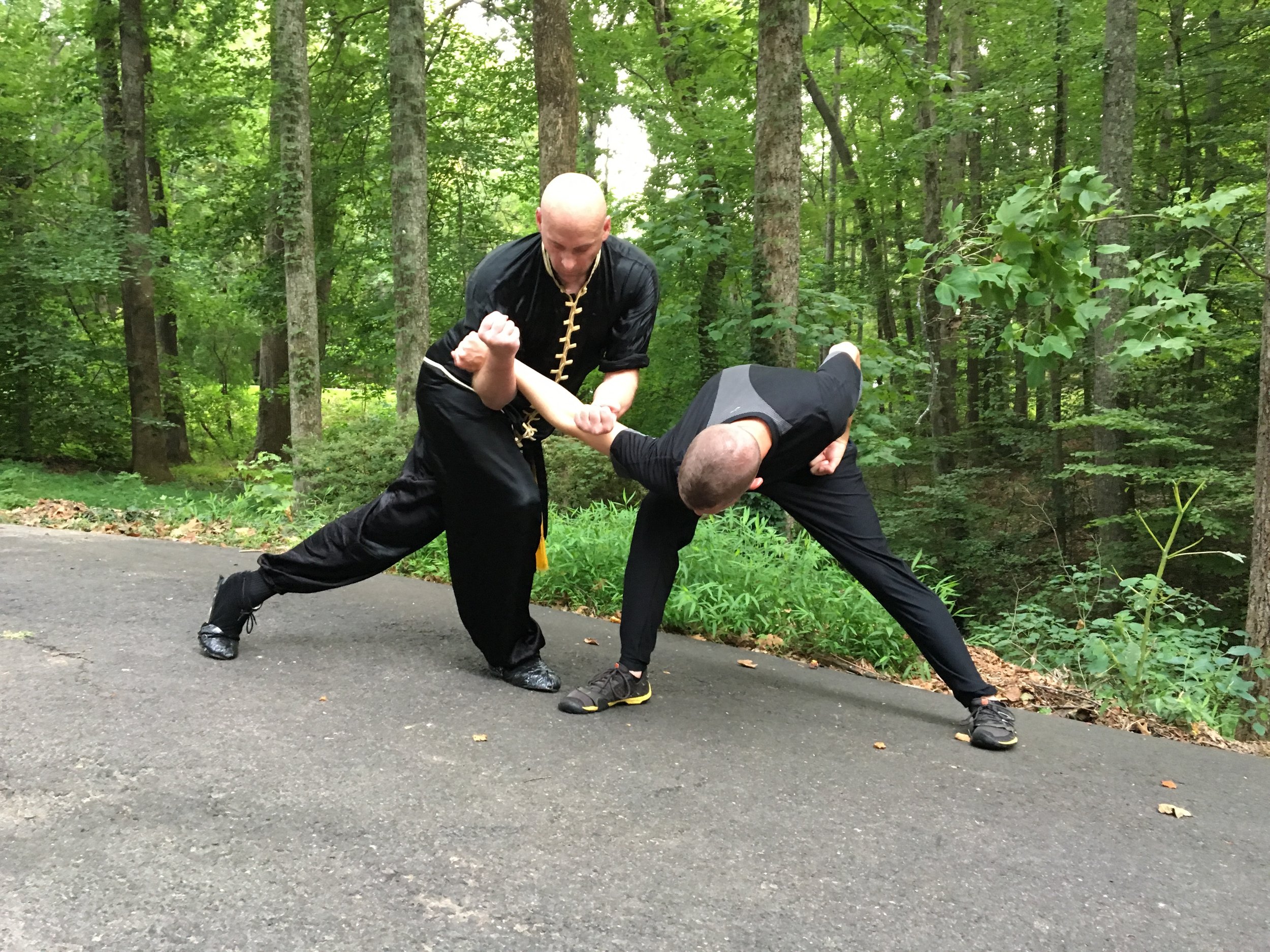Main image of Northern Arts Kung Fu