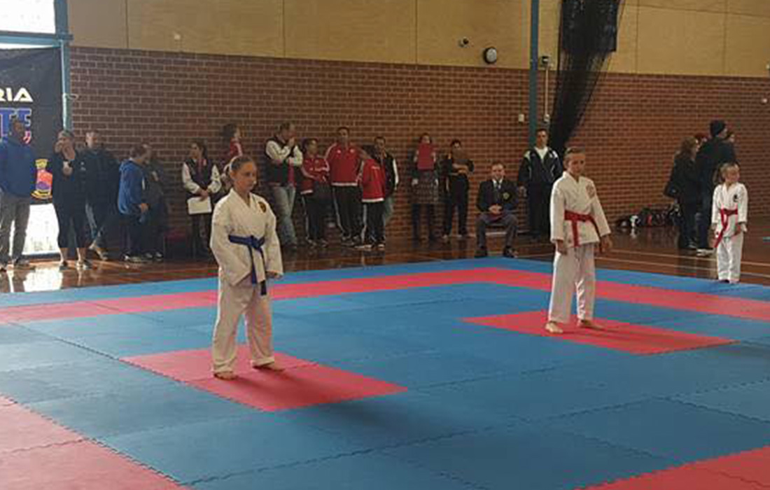 Main image of Northern Shukokai Karate Melbourne