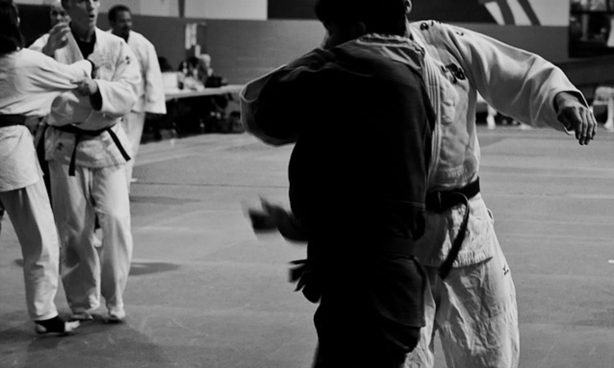 Main image of Northglenn Judo