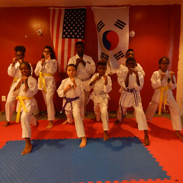 Main image of NorthSide Warriors Tae Kwon Do Center