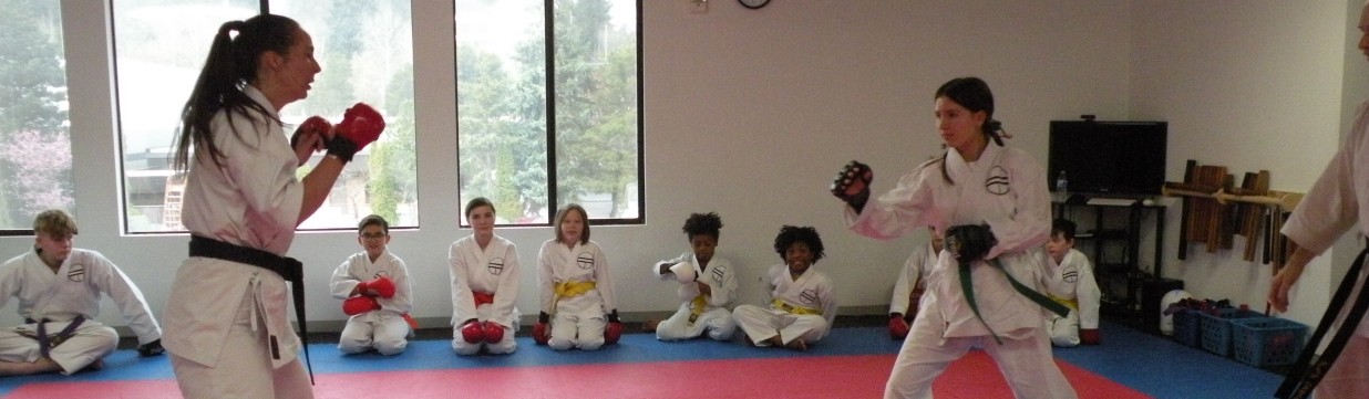Main image of Northwest School of Karate