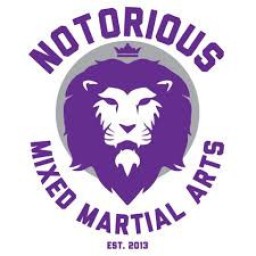 Main image of Notorious MMA