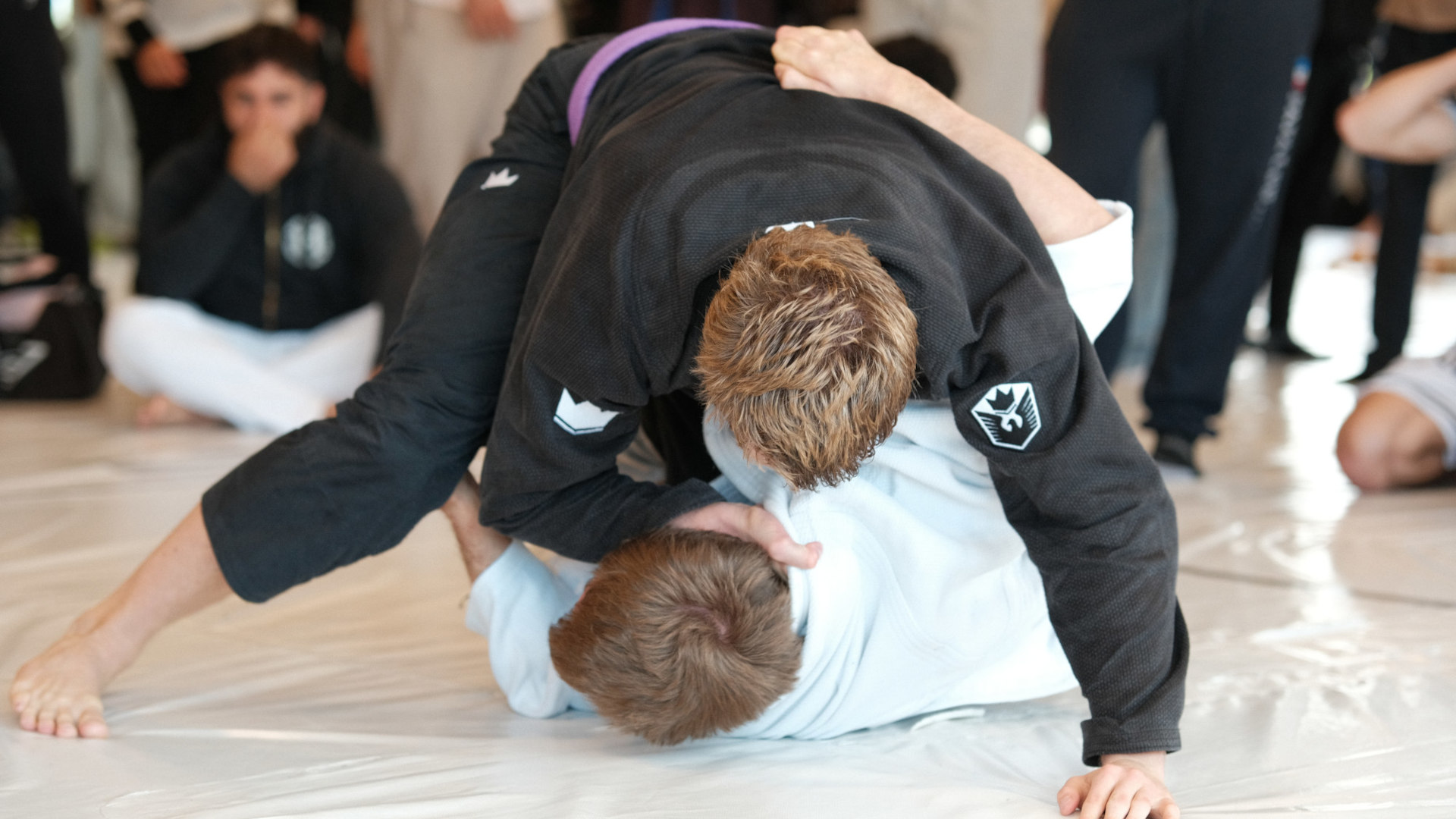 Main image of Novus Academy Molde BJJ
