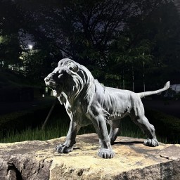 Main image of NSSU