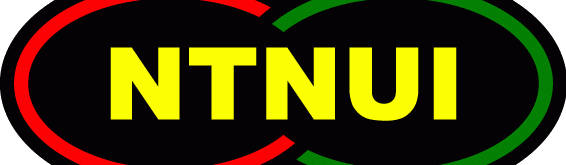 Main image of NTNUI Brazilian Jiu Jitsu
