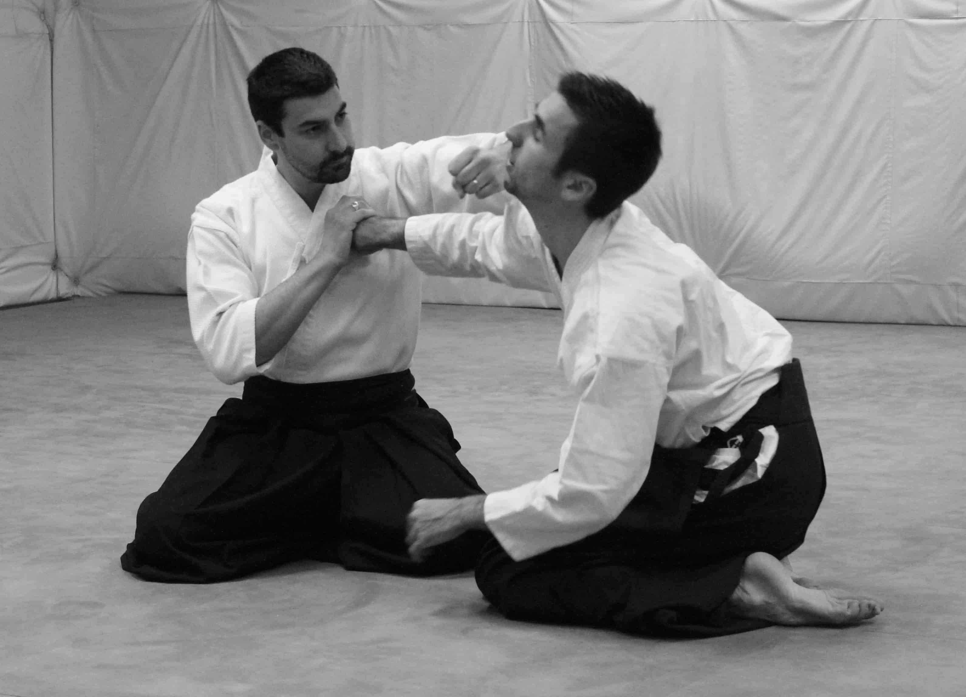 Main image of Nyons Aïkido - Kobayashi Ryu