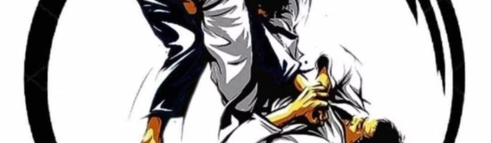 Main image of o gym jujitsu