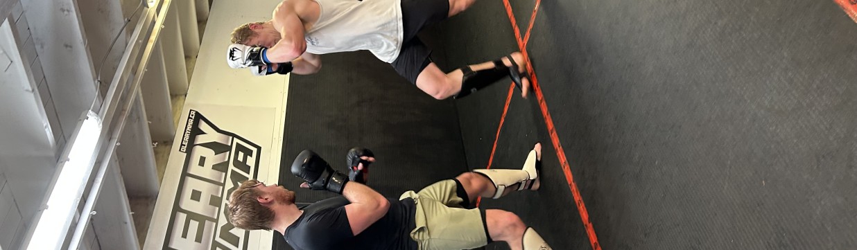 Main image of O’Leary mma
