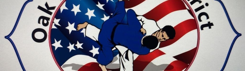 Main image of Oak Lawn Park District Judo Club