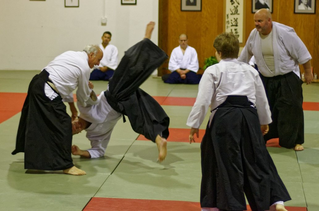 Main image of Oak Park Aikikai