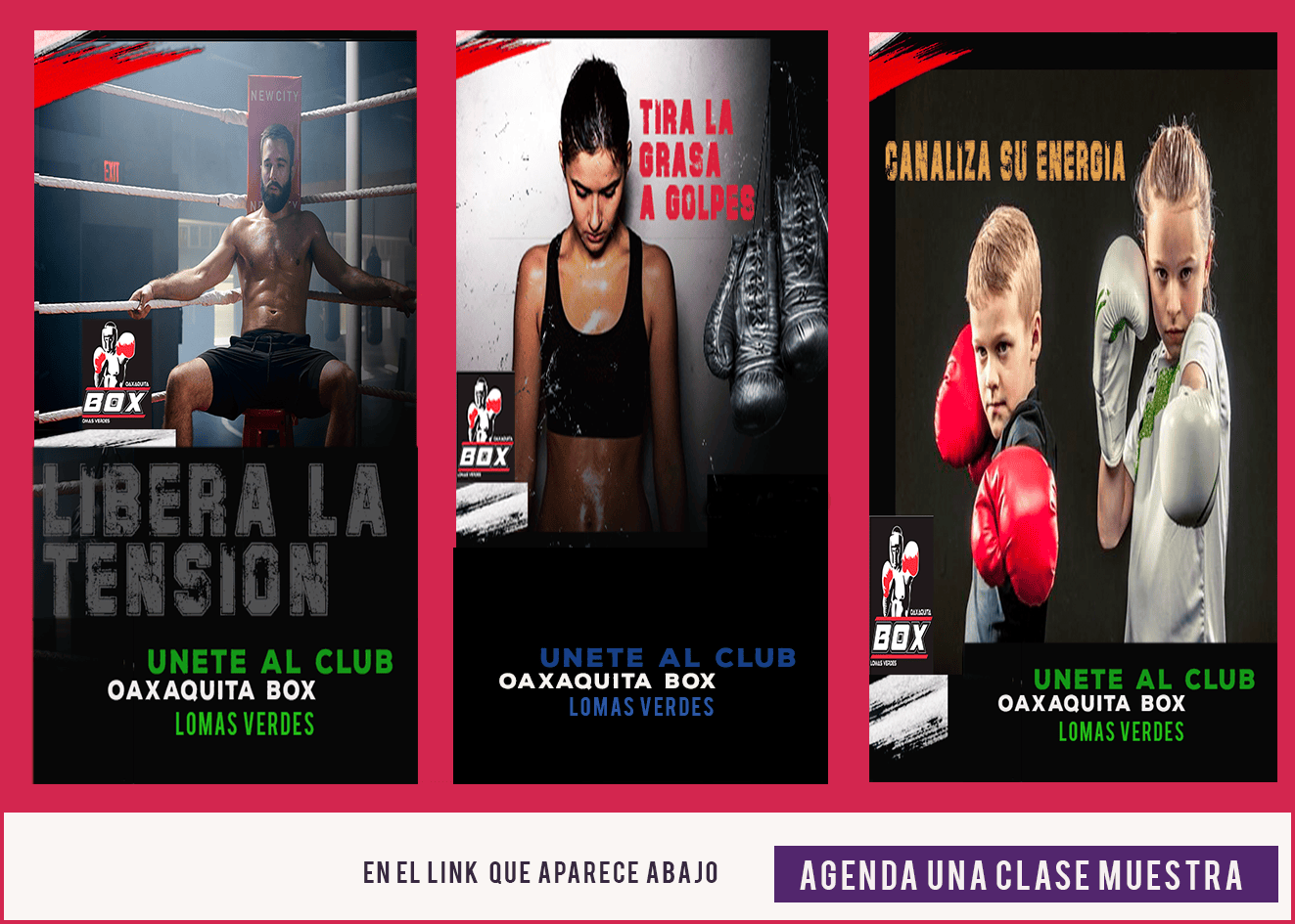 Main image of Oaxaquita box lomas verdes