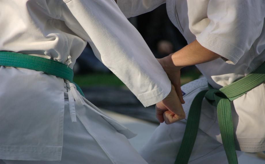 Main image of Oberland Karate