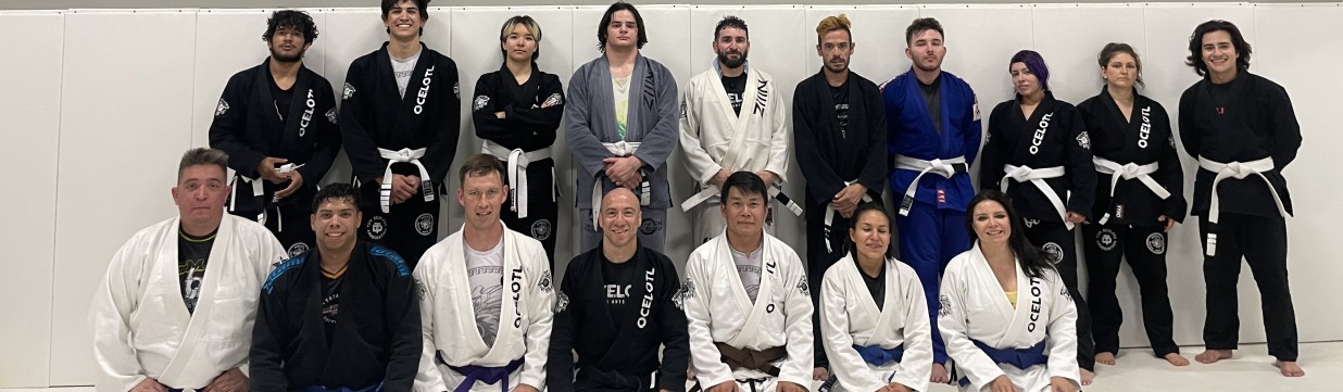 Main image of Ocelotl Martial Arts Academy