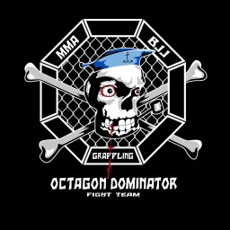 Main image of OCTAGON DOMINATOR Fight Team
