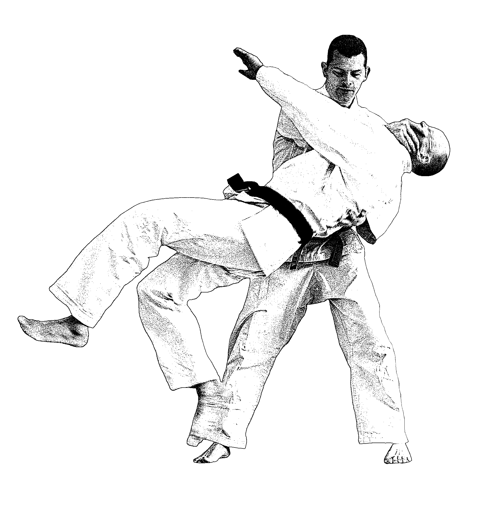 Main image of Odense Judo