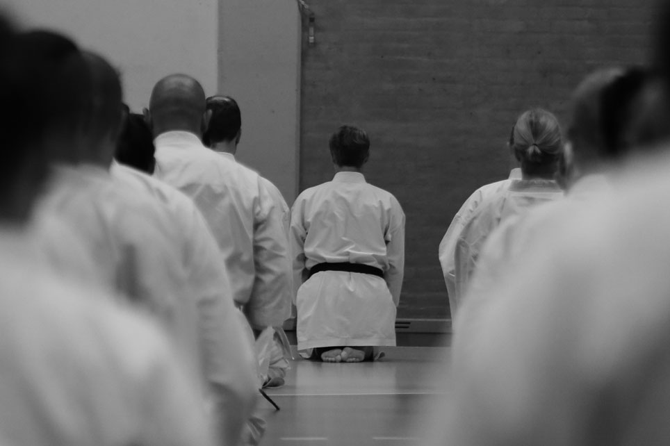 Main image of Odense Karate Skole