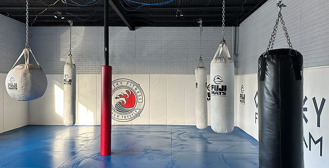 Odyssey Pankration