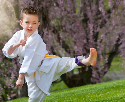 Main image of Ogawa Martial Arts - TOGKF