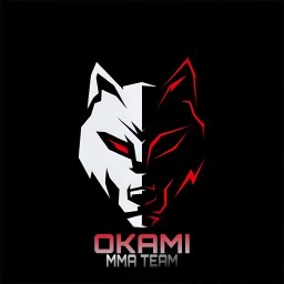 Main image of Okami MMA team