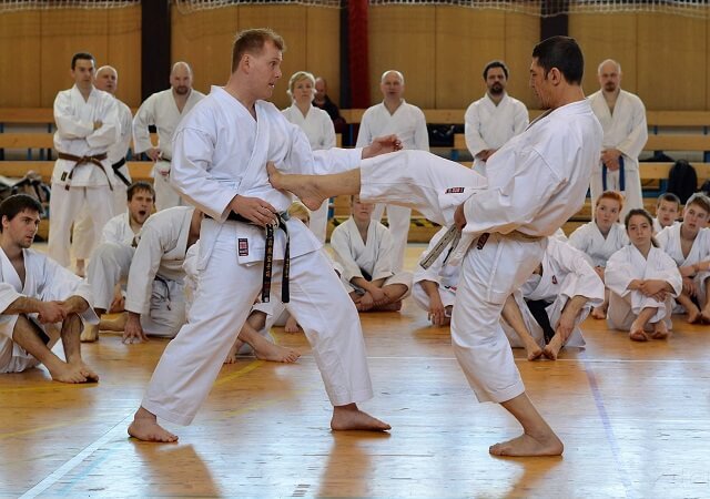 Main image of Okamoto's Karate