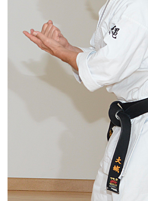 Main image of Okinawa Dojo
