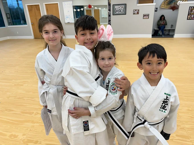 Main image of Okinawa Karate And Cultural Center