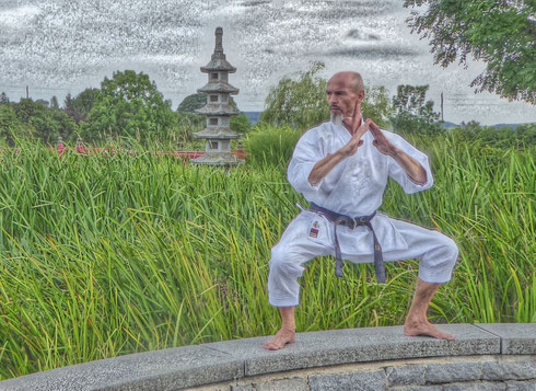 Main image of Okinawa Karate Kobujutsu Kenkyu Kai