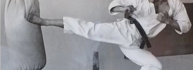 Okinawa Karate Shōrin-Ryū