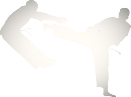 Main image of Okinawan Goju-ryu Karate Queensland