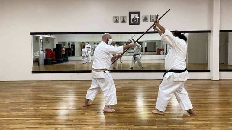 Main image of Okinawan Karate Club of Dallas