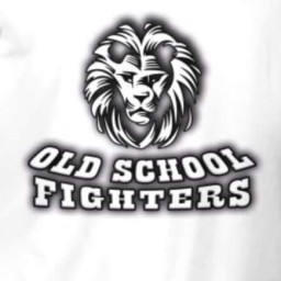 Main image of OLD SCHOOL FIGHTERS