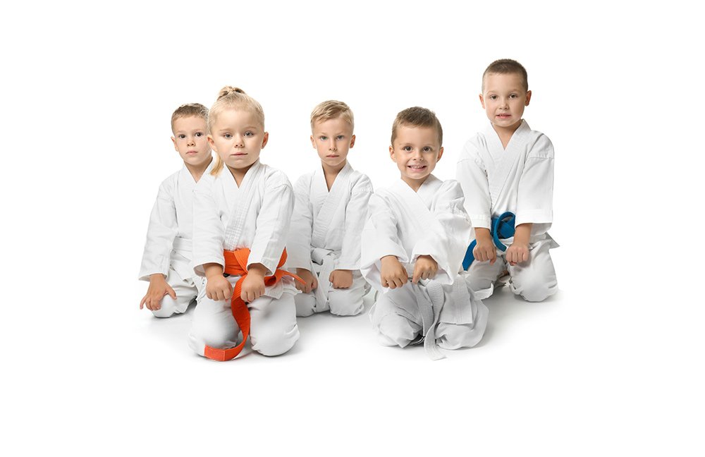 Main image of Olympia Taekwondo of Commerce