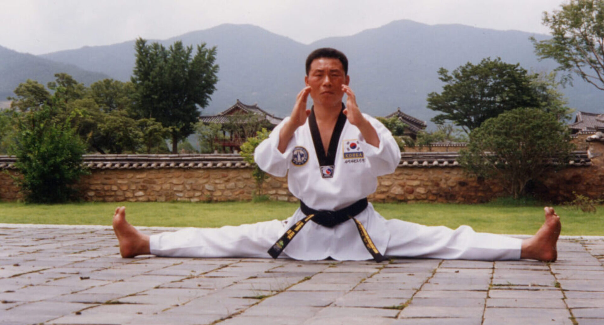 Main image of Olympic Tae Kwon Do Academy - Wien 20. Bezirk