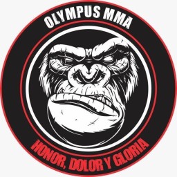 Main image of OLYMPUS MMA