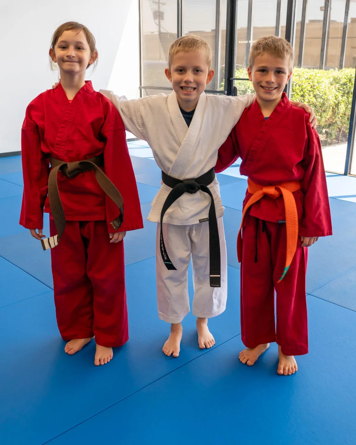 Main image of Omega Martial Arts