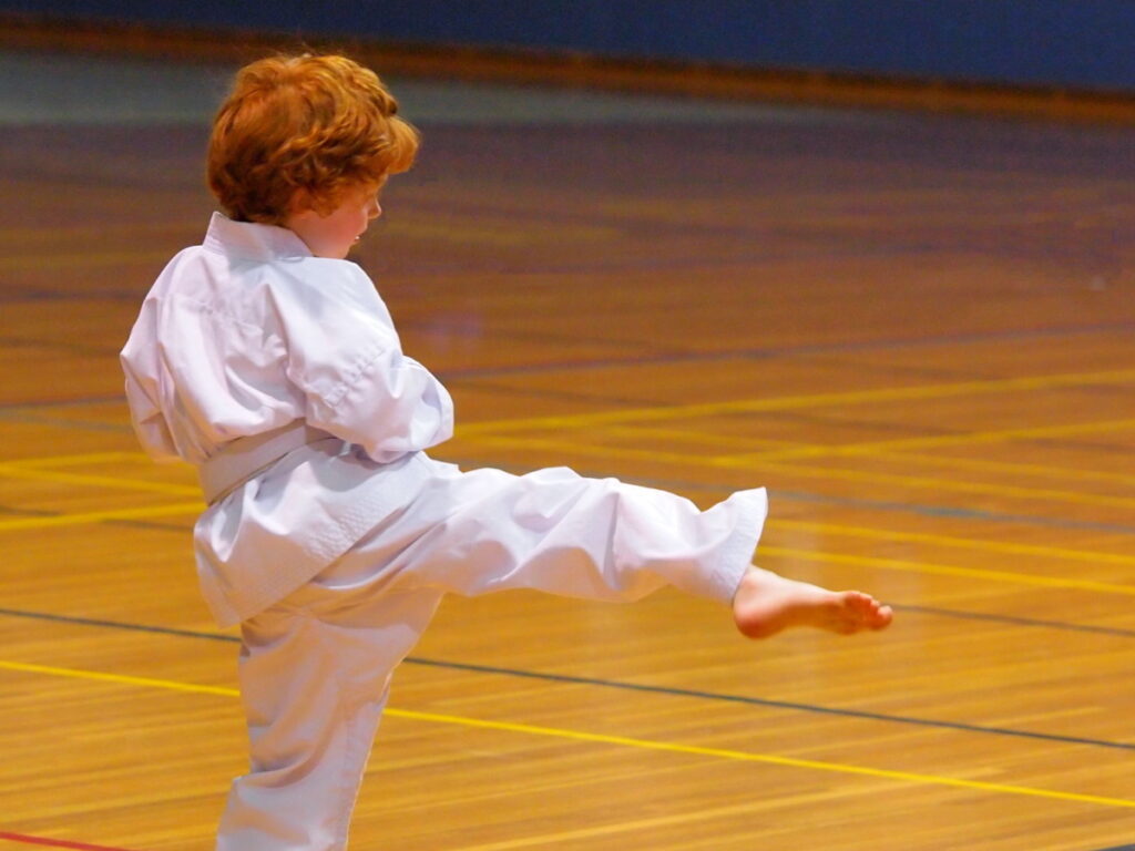Main image of Omoikiri Budo Kai - Castlemaine