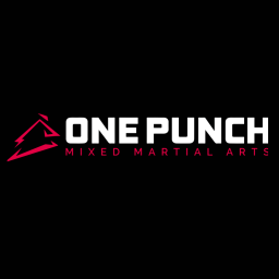 Main image of One Punch Mixed Martial Arts