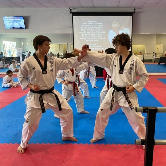 Main image of Ong's Taekwondo Sebring Branch