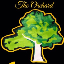 Main image of Orchard South Wrestling Club