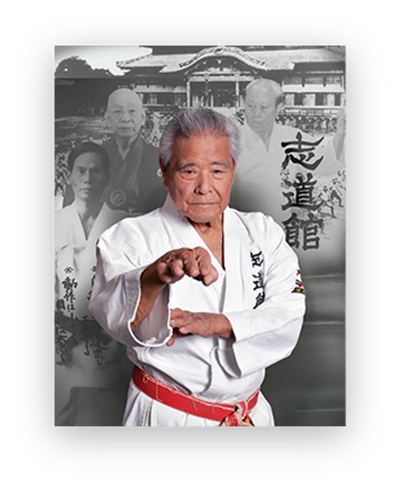 Main image of Original Okinawa Karate