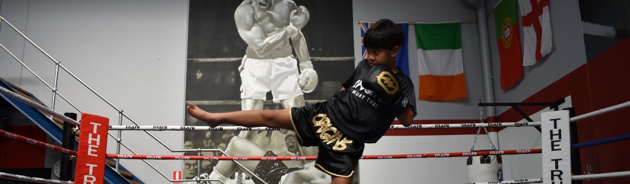 Main image of Origins Muay Thai