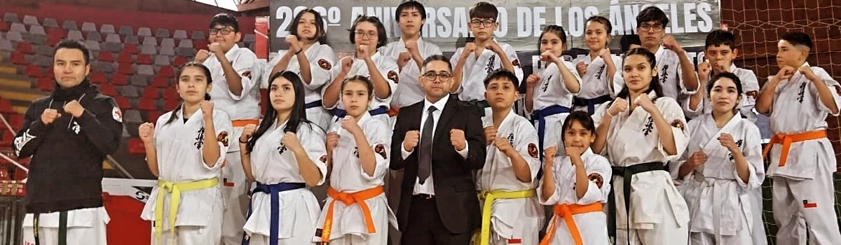 Main image of ORTIZ DOJO CHILE