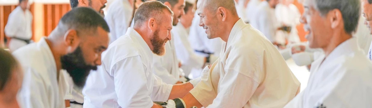 Main image of Oshi Shinobu Dojo USA