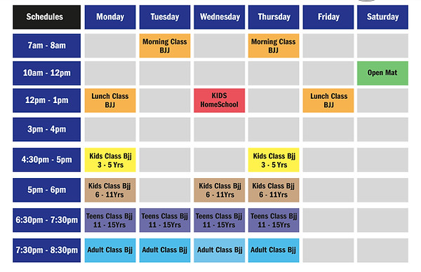 Main image of OSS ACADEMY BJJ