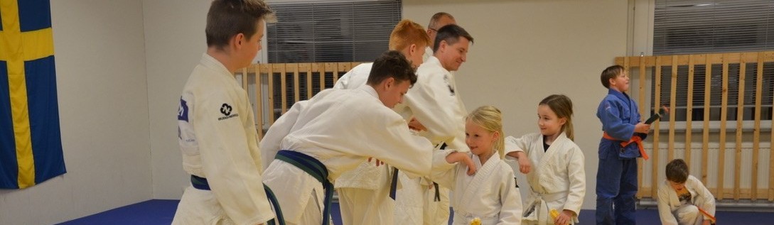 Main image of Österlen Budo klubb