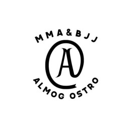 Main image of Ostro Team