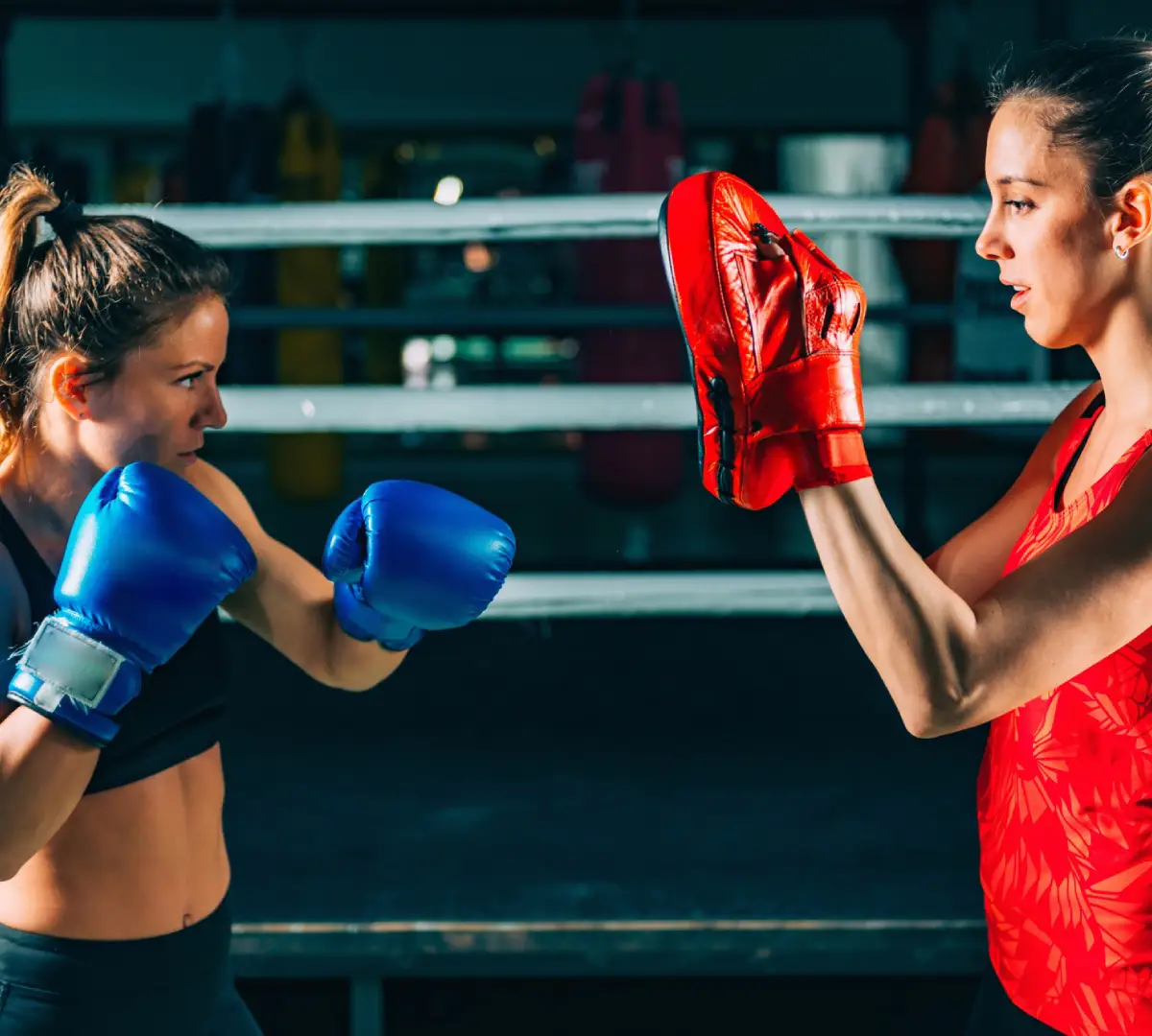 Main image of Otaman Boxing Club